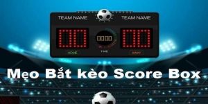 Kèo chấp score box là gì? Kinh nghiệm cược kèo score box cho anh em newbie