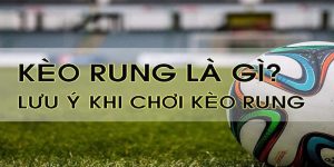 Kèo rung là gì? - Khám phá những điều thú vị của kèo rung tại FB88 casino 
