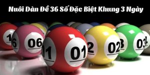 Cách Nuôi Dàn Đề 36 Số Khung 3 Ngày Dành Cho Tân Binh