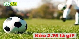 Kèo Bàn Thắng Là Gì? Hướng Dẫn Cá Cược Thể Thao Tại FB88