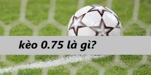 Kèo 0.75 là gì? Trải nghiệm cá cược bóng đá hấp dẫn tại FB88  