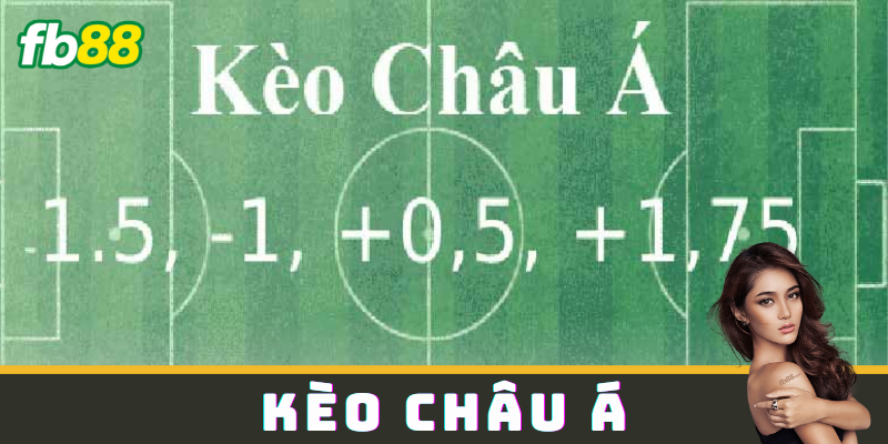 Sơ lược các loại kèo và cách cược hiệu quả